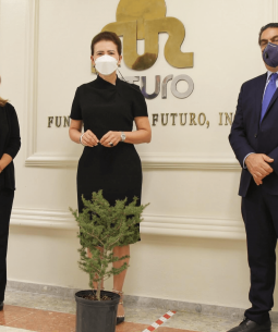 DONACIÓN DE UN ÁRBOL DE CEDRO DEL LÍBANO