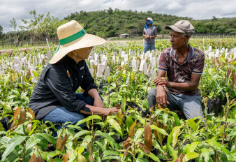 Sur Futuro y Agricultura amplían alianza para la producción de coco, café y frutales (mango, limón, aguacate, entre otros) en beneficio de pequeños productores agrícolas a nivel nacional