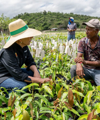Sur Futuro y Agricultura amplían alianza para la producción de coco, café y frutales (mango, limón, aguacate, entre otros) en beneficio de pequeños productores agrícolas a nivel nacional