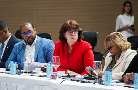 La Fundación Sur Futuro participa en la reunión preparatoria de la X Cumbre de las Américas