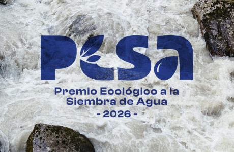 Sur Futuro celebra 24 años en la siembra de esperanza