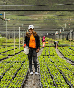Sur Futuro celebra 24 años en la siembra de esperanza