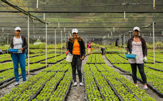 Sur Futuro celebra 24 años en la siembra de esperanza