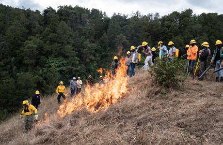 Sur Futuro fortalece brigadas voluntarias de control de incendios forestales